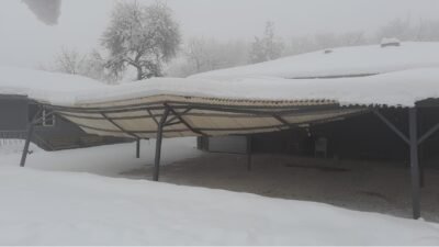 Ali Aladağ…: Malatya Olay Haber…:
Son dakika...Sıcak haber...Malatya’nın Akçadağ ilçesine bağlı