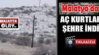 Şakir Zontul…:Malatya Olay Haber…:
Günün öne çıkan haberi…Malatya’da zorlu kış şartlarının