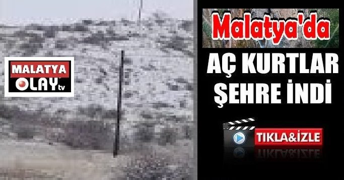 Şakir Zontul…:Malatya Olay Haber…:
Günün öne çıkan haberi…Malatya’da zorlu kış şartlarının