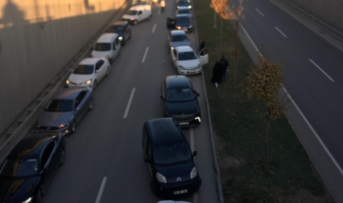 Ali Aladağ…:Malatya Olay Haber…:
Günün ve yılın haberi...Asrın felaketini yaşayan ve