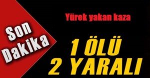 barali 4249