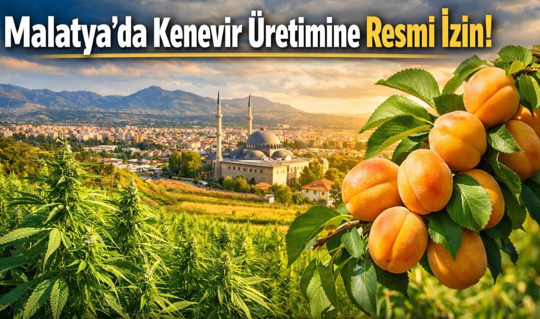 Türkiye genelinde 21 ilde kenevir üretimine izin verilmesi, Malatya için