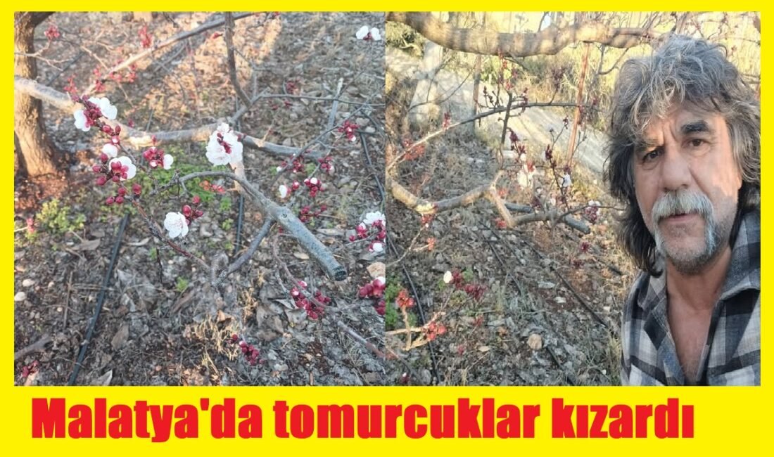 Ali Aladağ…:Malatya Olay Haber…:
Yoğun ve şiddetli bir kışın ardından Mersin'de