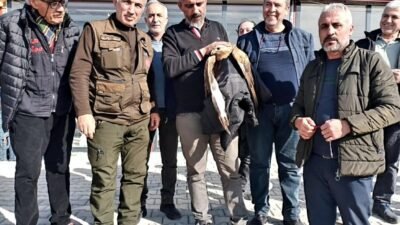 İzzettin Çiçek…:Malatya Olay Haber…:
Gündem özel…Nesli tükenmekle karşı karşıya olan Kızıl