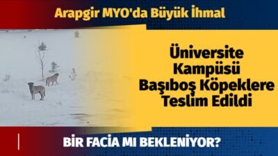 Arapgir Meslek Yüksekokulu’nda öğrenciler korku içinde okula gidip geliyor, yapılan