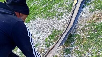 İzzettin Çiçek...:Malatya Olay Haber...:
Son dakika...Sıcak haber...Malatya'nın Akçadağ ilçesinde Kömekavak Mahallesi'nde