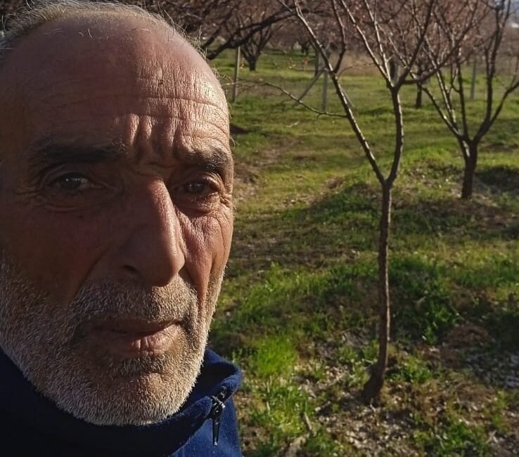 Ali Aladağ…:Malatya Olay Haber…:
Malatyalı kayısı üreticisine bir dokun bin ah