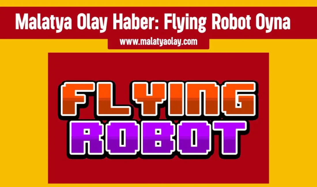 Flying Robot Oyna