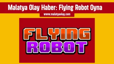 Flying Robot Oyna