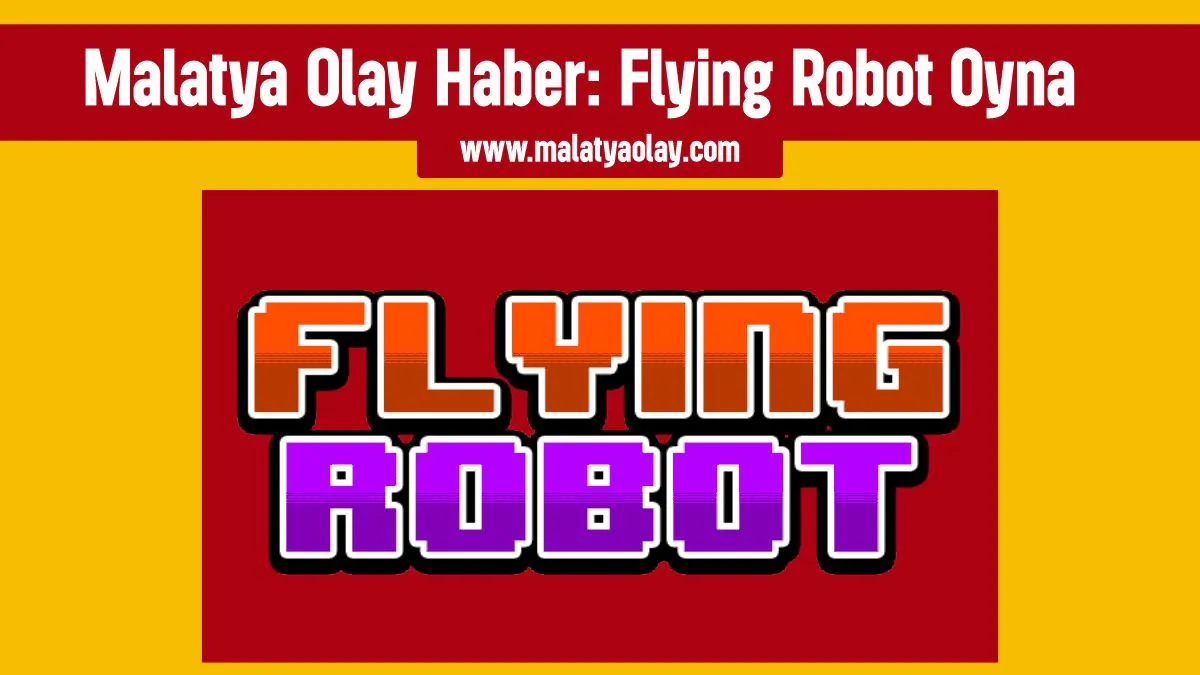 Flying Robot Oyna
