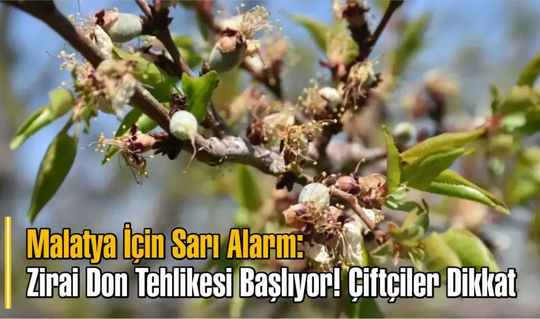 Malatya Valiliği'nden korkutan zirai don uyarısı! 11-14 Nisan tarihleri arasında