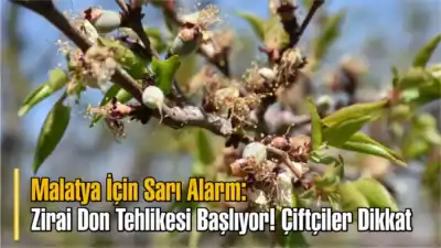 Malatya Valiliği'nden korkutan zirai don uyarısı! 11-14 Nisan tarihleri arasında