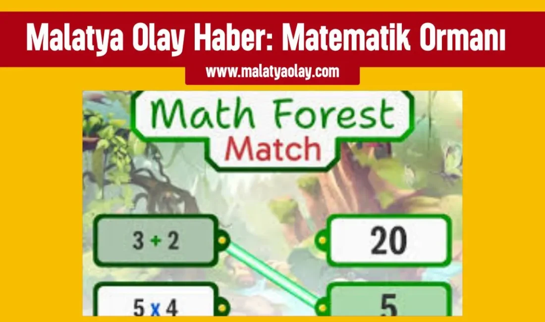 Matematik Ormanı Oyna