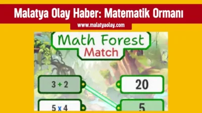 Matematik Ormanı Oyna