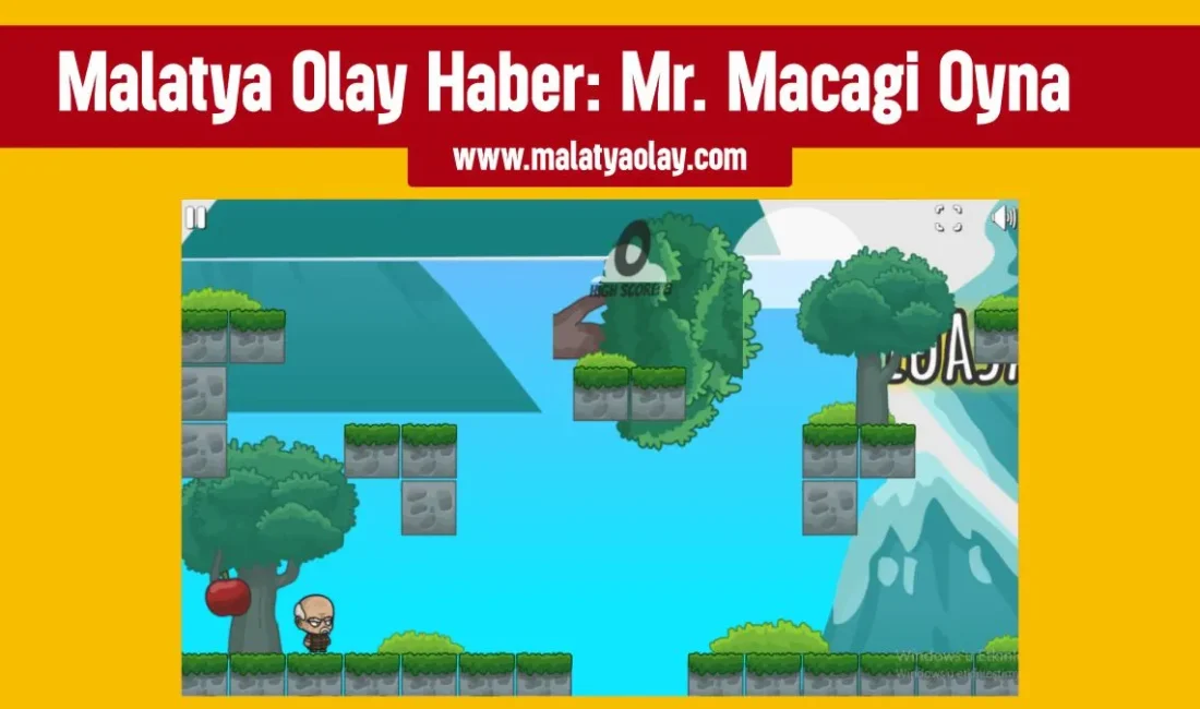 Mr. Macagi Oyna