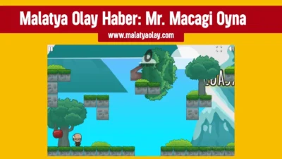 Mr. Macagi Oyna