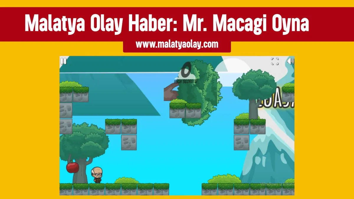 Mr. Macagi Oyna