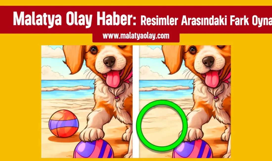 Resimler Arasındaki Fark Oyna