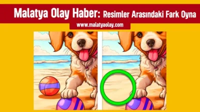 Resimler Arasındaki Fark Oyna