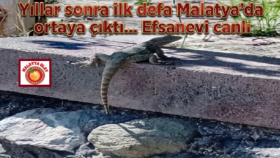 Ali Aladağ…:Malatya Olay Haber…:
Günün öne çıkan haberi...Malatya'nın Yeşilyurt ilçesine bağlı