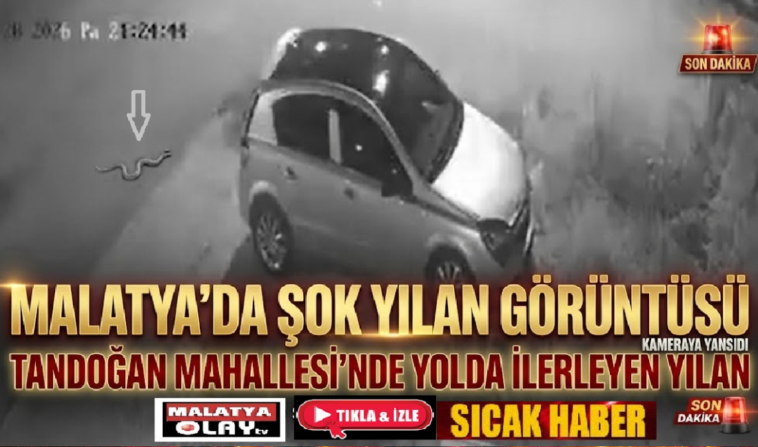 Ali Aladağ…:Malatya Olay Haber…:
Son dakika…Sıcak haber…Bu yaz gündemde en çok