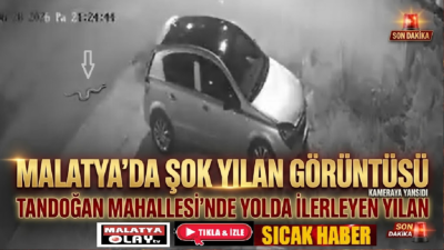 Ali Aladağ…:Malatya Olay Haber…:
Son dakika…Sıcak haber…Bu yaz gündemde en çok