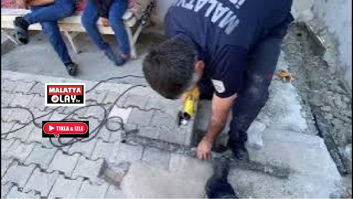 Ali Aladağ…:Malatya Olay Haber…:
Malatya'nın Cafana Mahallesin de bugün yavru kedi