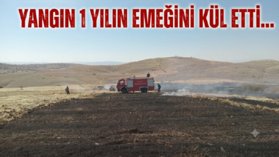 Ali Aladağ…:Malatya Olay Haber…:
Son dakika...Sıcak haber...Malatya’nın Arguvan ilçesine bağlı Karahüyük