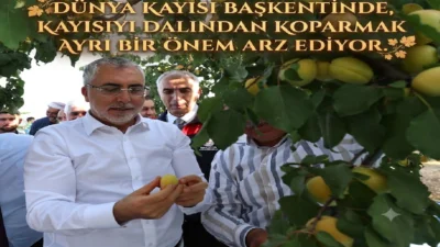 Ali Aladağ…:Malatya Olay  Haber…:
Günün öne çıkan haberi...Çalışma ve Sosyal