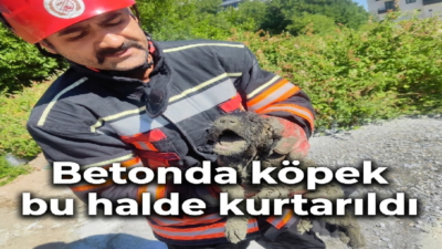 Uğur Hanbey Aladağ…: Malatya Olay Haber…:
Malatya Büyükşehir Belediyesi İtfaiye Dairesi