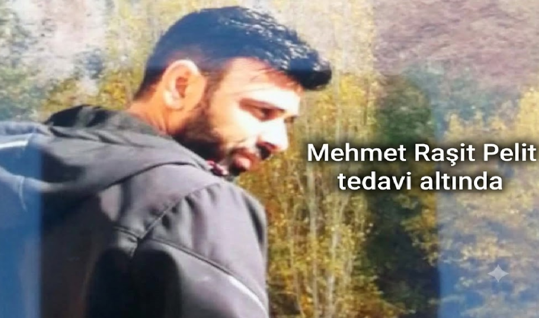 Ali Aladağ Malatya Olay Haber…:
Malatya'nın Akçadağ ilçesinde serinlemek için Tohma
