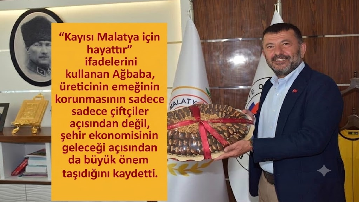 Ağbaba, Kayısıda fiyatlar daha sezon başlamadan çöktü, TMO acil alım yapmalı 2 Ağbaba, Kayısıda fiyatlar daha sezon başlamadan çöktü, TMO acil alım yapmalı 1