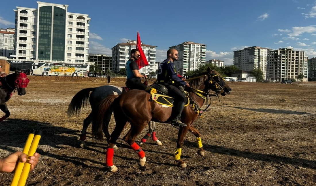 Ali Aladağ…:Malatya Olay Haber…:
28. Uluslararası Kültür Sanat Etkinlikleri ve Kayısı