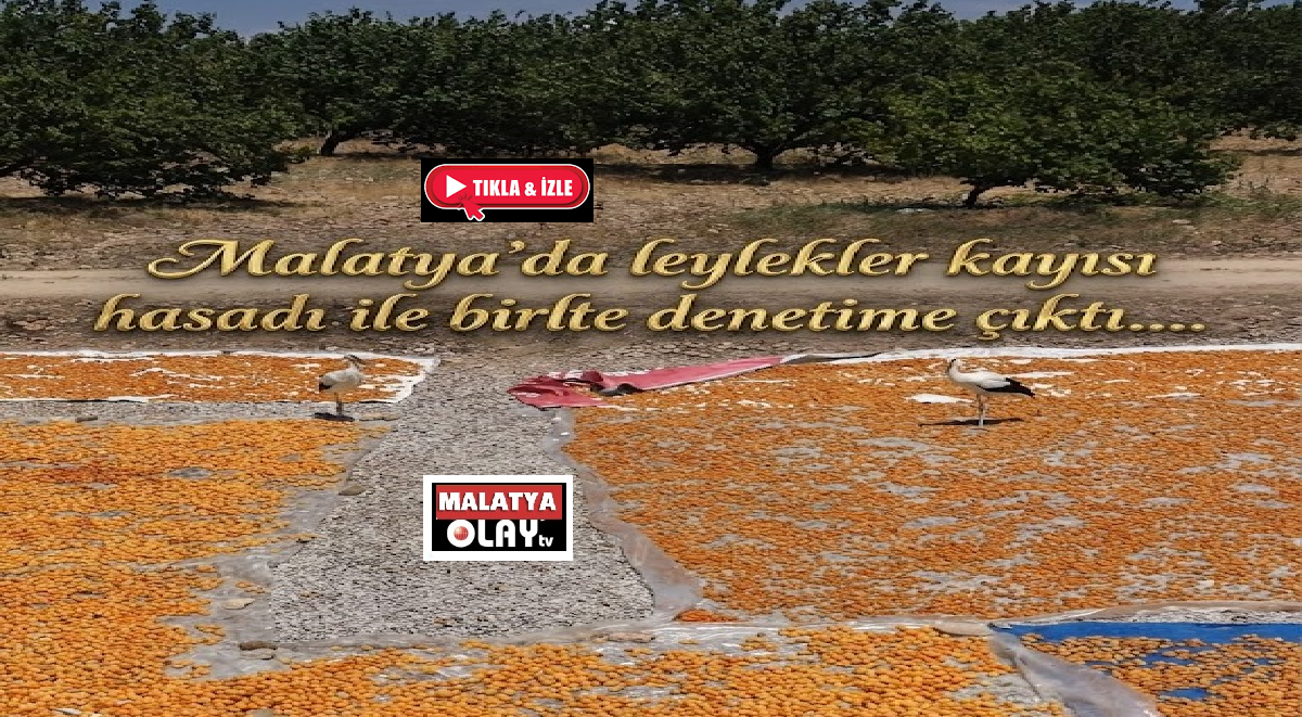 Ali Aladağ…:Malatya Olay Haber…:
Günün haberi...Dünyanın kuru kayısı başkenti Malatya’da, yılın