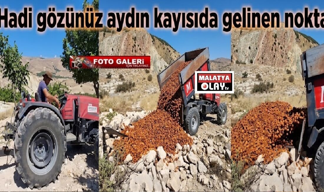 Uğur Hanbey Aladağ…:Malatya Olay Haber…:
Malatya’da bu sezon artan girdi maliyetlerine