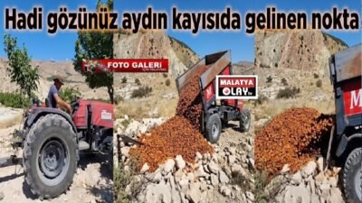 Uğur Hanbey Aladağ…:Malatya Olay Haber…:
Malatya’da bu sezon artan girdi maliyetlerine