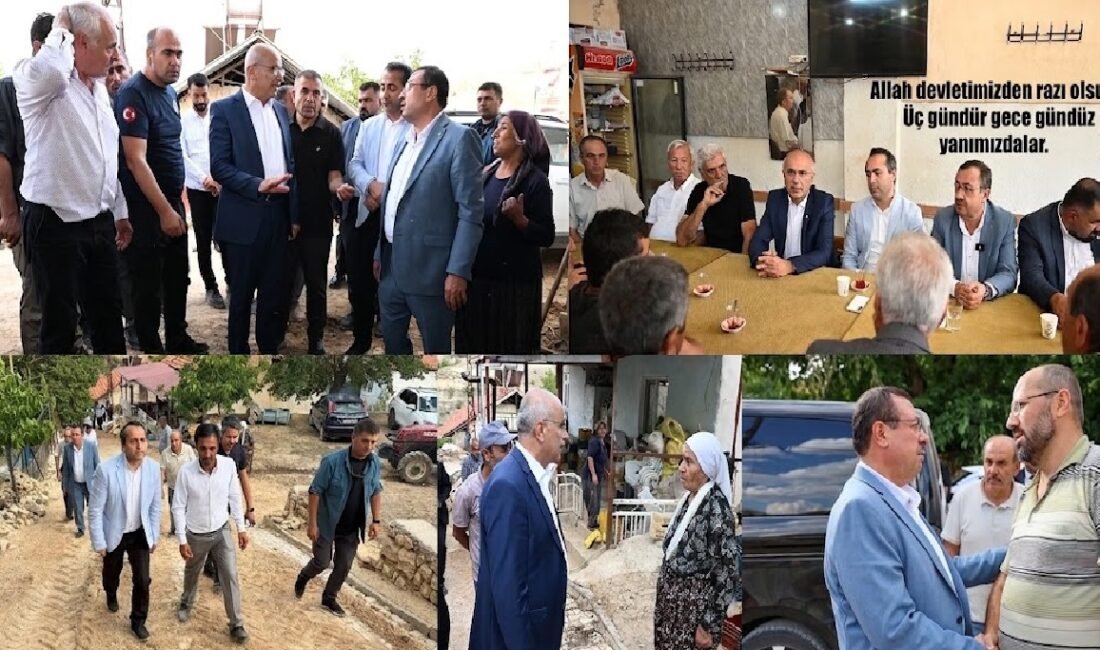Ali Aladağ…:Malatya Olay Haber…:
Malatya’nın Hekimhan ilçesine bağlı Kocaözü Mahallesi’nde meydana