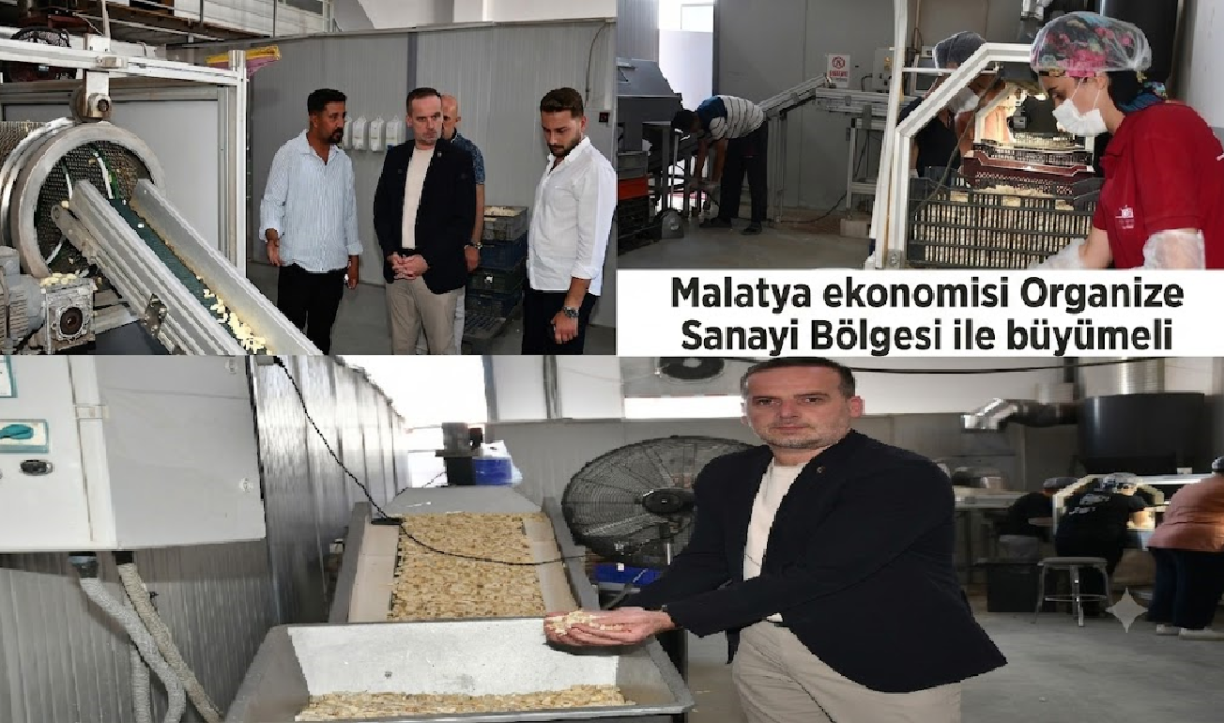 Uğur Hanbey Aladağ…:Malatya Olay Haber…:
Malatya Girişimci İş İnsanları Derneği (MAGİNDER)