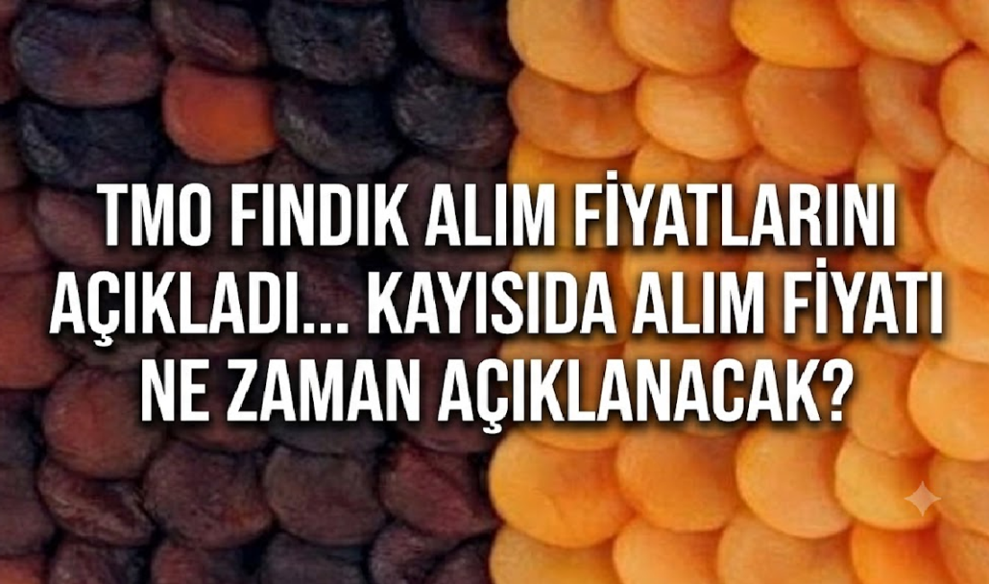 Ali Aladağ…:Malatya Olay Haber…:
Kayısı Üreticisi İsyan Etme Noktasında: "TMO Kayısı