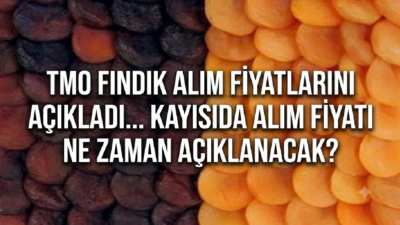 Ali Aladağ…:Malatya Olay Haber…:
Kayısı Üreticisi İsyan Etme Noktasında: "TMO Kayısı