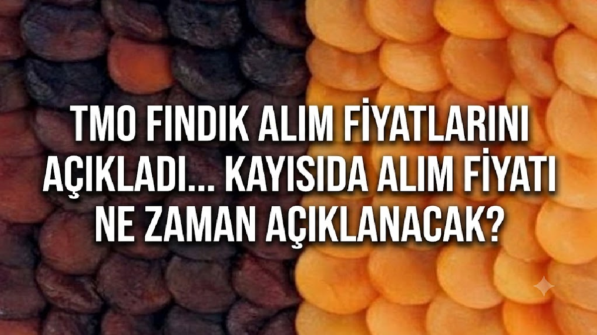 Malatya'da kayısıda fiyat düşürme oyununu TMO fiyat açıklayarak bozmalı 1