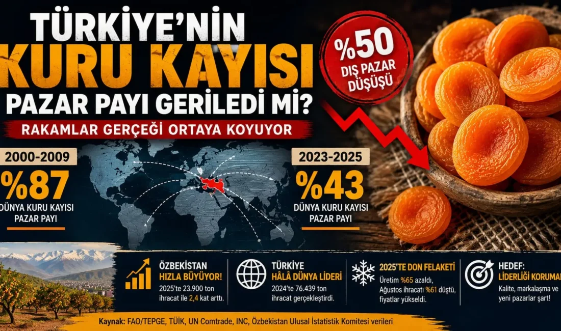 Türkiye’nin kuru kayısıda dünya pazarındaki payının son yıllarda yüzde 87’den