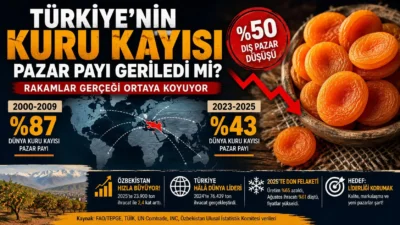 Türkiye’nin kuru kayısıda dünya pazarındaki payının son yıllarda yüzde 87’den
