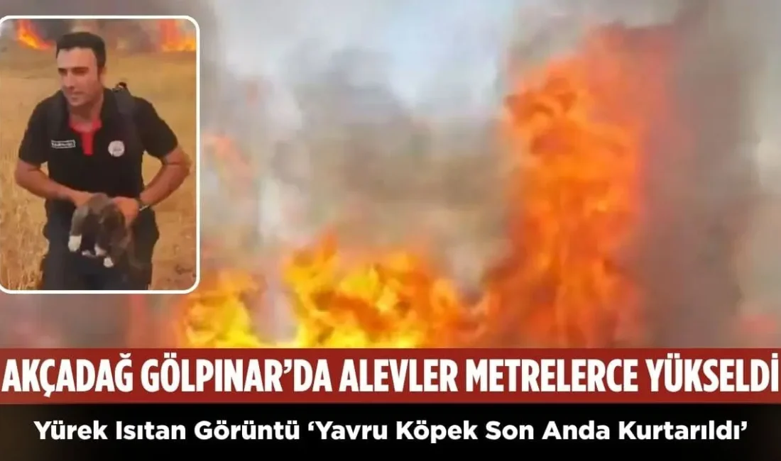 Akçadağ Gölpınar’da Korkutan Yangın: Alevler Metrelerce Yükseldi, Yavru Köpek Son