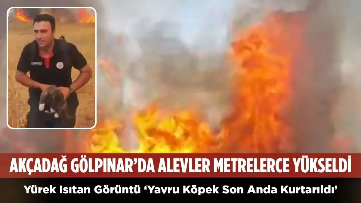 Akçadağ Gölpınar’da Korkutan Yangın: Alevler Metrelerce Yükseldi, Yavru Köpek Son