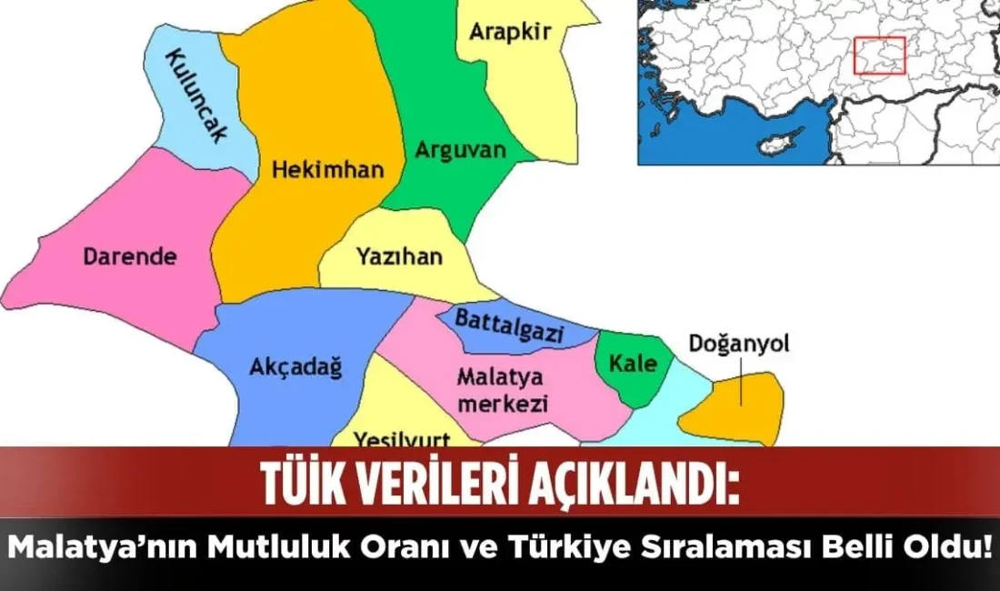 Türkiye İstatistik Kurumu (TÜİK) tarafından paylaşılan yaşam memnuniyeti ve mutluluk