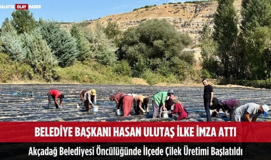 Ali Aladağ…:Malatya Olay Haber…:
Malatya’nın Akçadağ ilçesinde belediye bünyesinde hayata geçirilen