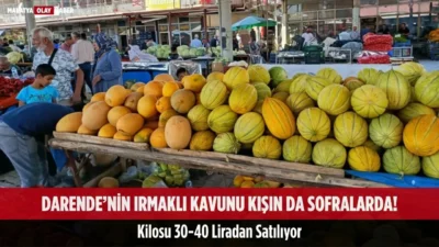 Darende’nin Irmaklı Kavunu Kışın da Sofralarda! Kilosu 30-40 Liradan Satılıyor 7
