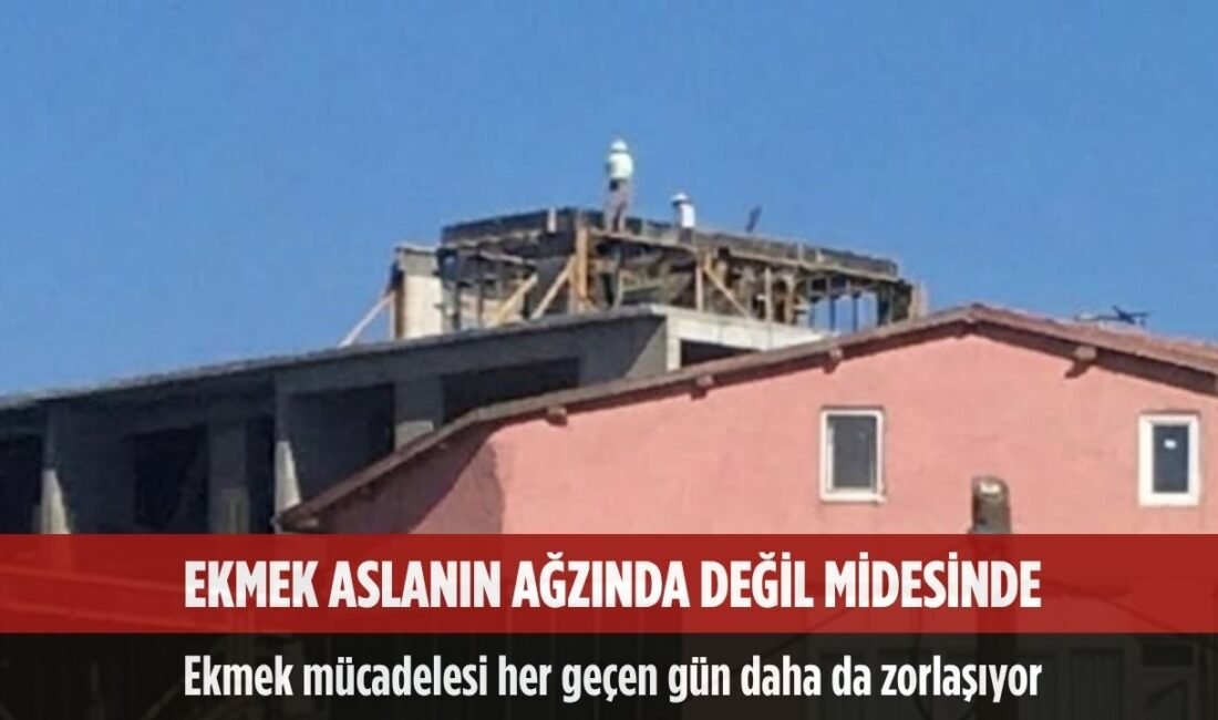 Uğur Hanbey Aladağ…:Malatya Olay Haber…:
İlkokul mezunundan üniversite diploması sahiplerine kadar