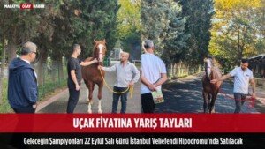 ucak fiyatina yaris taylari gelecegin sampiyonlari sali gunu veliefendi satis